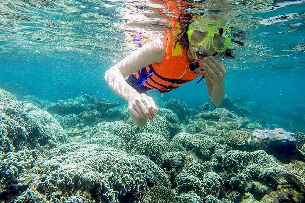 Lặn ngắm những rạn san hô tuyệt đẹp tại Du lịch Hòn Khô