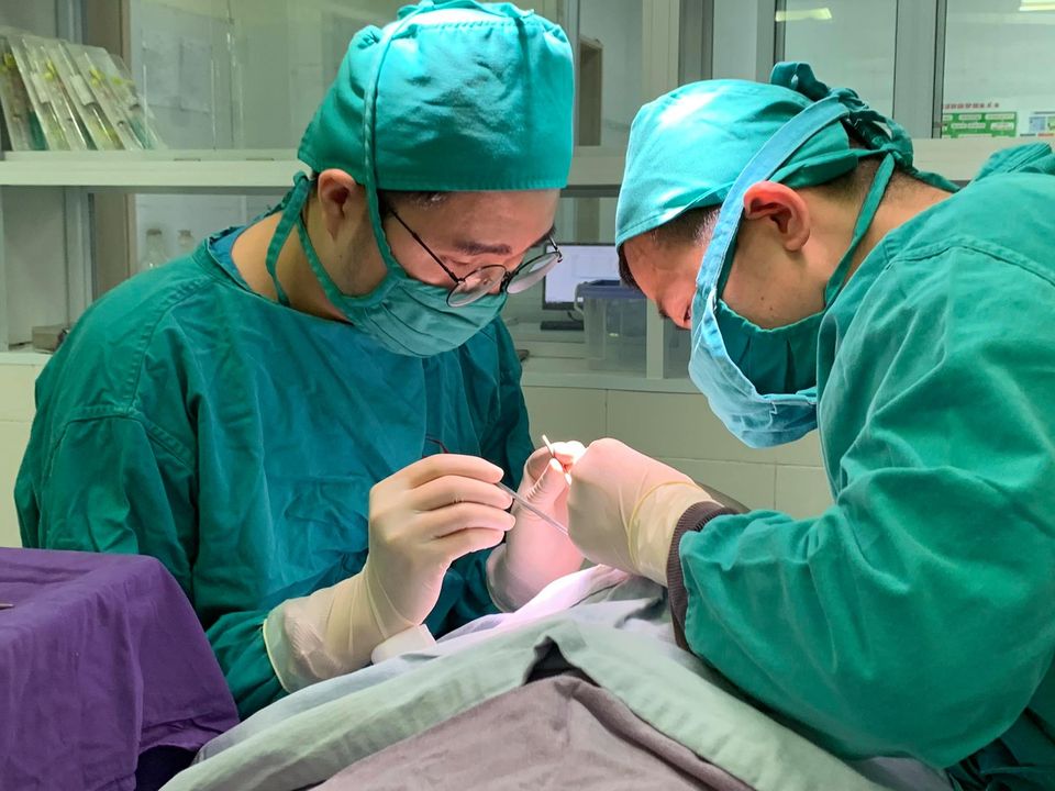 Phương pháp cắt thắng lưỡi không đau?